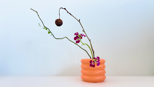 Ikebana arrangement - Not Center Stage, But Still Scene-Stealing