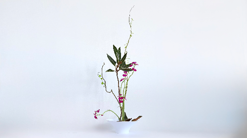 Ikebana arrangement – Lingering Light
