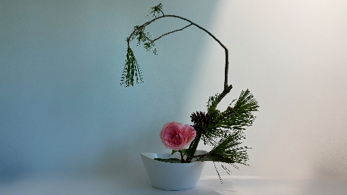 Ikebana arrangement – Early Warmth