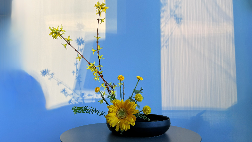 Ikebana Arrangement - Spring Windowlight