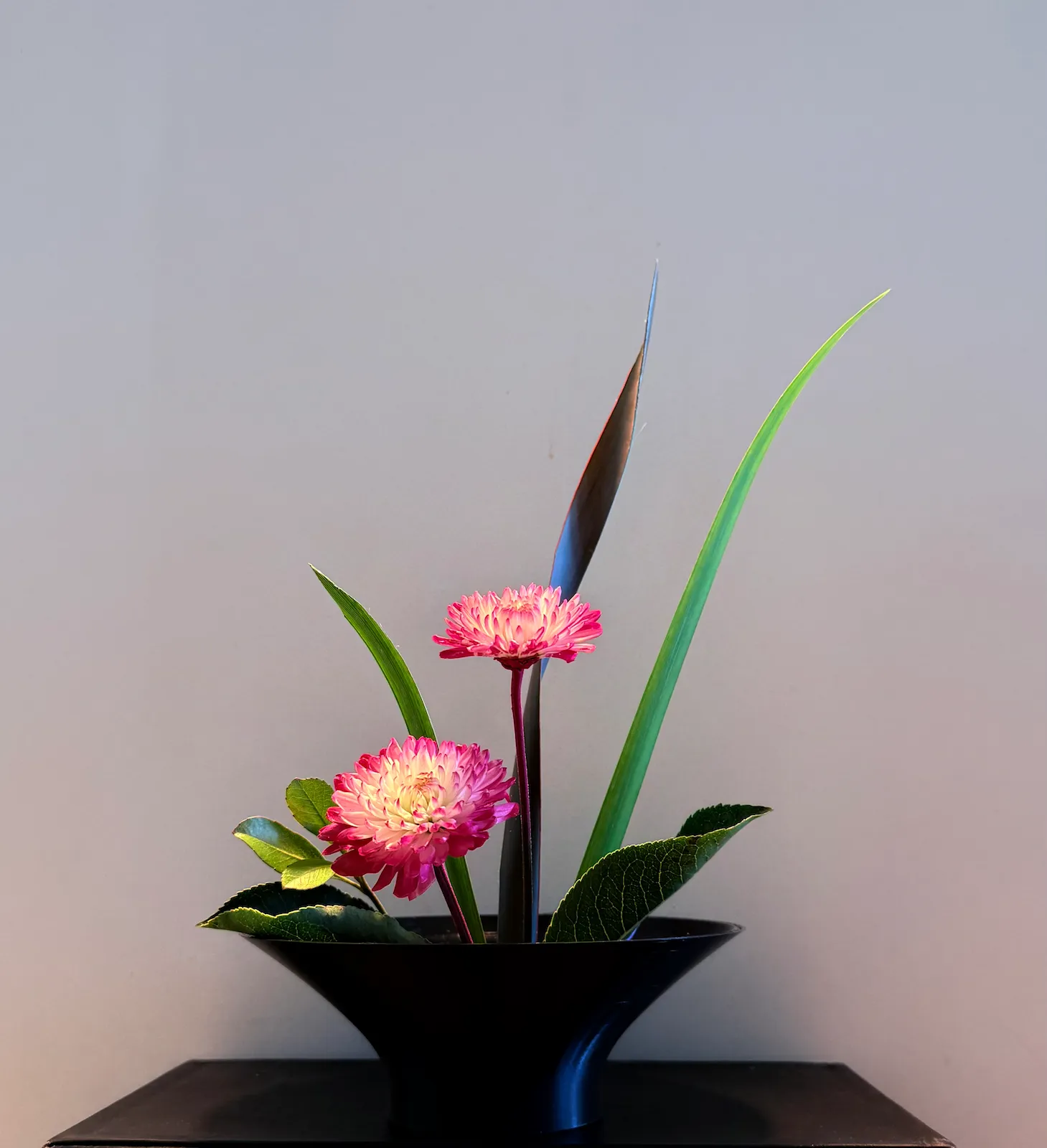 Ikebana Arrangement - Confidence and Comfort