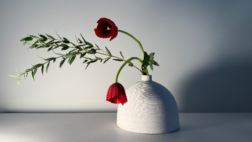 Ikebana Arrangement - Red in the Wind