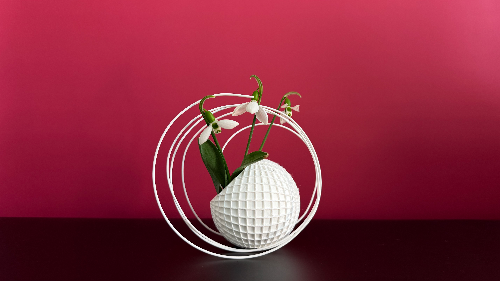 Ikebana Arrangement - Within the Quiet Circle