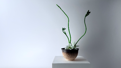 Ikebana Arrangement - A Little Spring Stretch