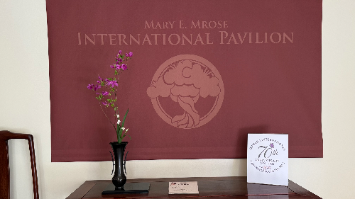 Shoka Shofutai Ikenobo arrangement by Ursula Kondo with spring snowflake and azalea