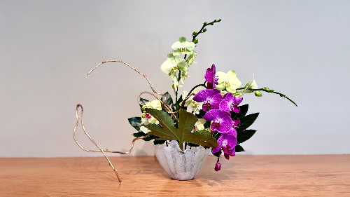 Freestyle Sogetsu arrangement by Jane Redmon with orchid, aralia, and gold painted wisteria branch