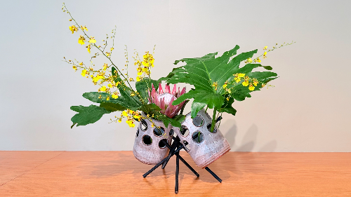 Freestyle Ichiyo arrangement by Janice Pedersen with oncidium orchid, protea, and philodendron