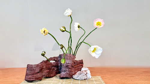 Sangetsu Korinka arrangement by Mary Jane Sasser with poppy, tree bark, and shelf fungi