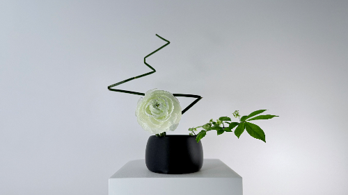 Ikebana Arrangement - Calm… With a Little Thunder Twist