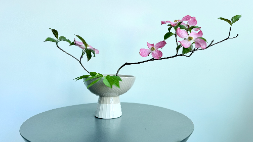 Ikebana Arrangement - A Soft Pink Balancing Act