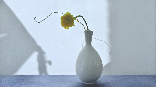 Ikebana arrangement - Stillness with a Wink