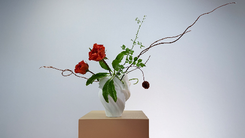 Ikebana Arrangement - Drawn in Space