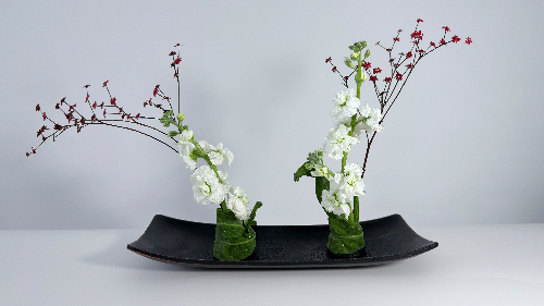 Ikebana arrangement - Harmony