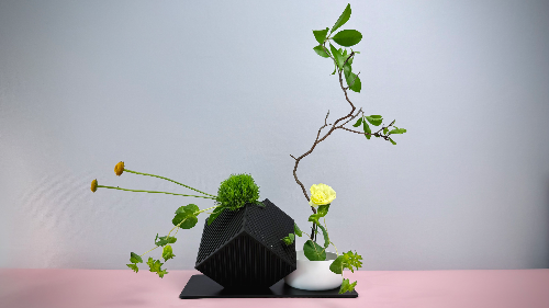 Ikebana Arrangement - After Midnight